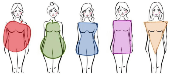 Woman body types